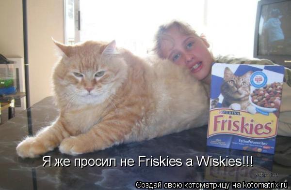 Котоматрица: Я же просил не Friskies a Wiskies!!!