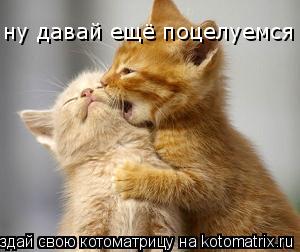 Котоматрица: ну давай ещё поцелуемся