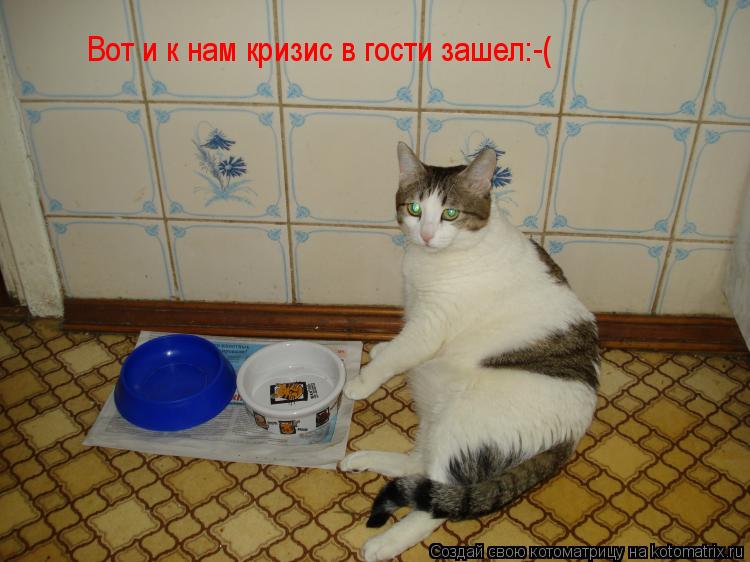 Котоматрица: Вот и к нам кризис в гости зашел%( Вот и к нам кризис в гости зашел:-(