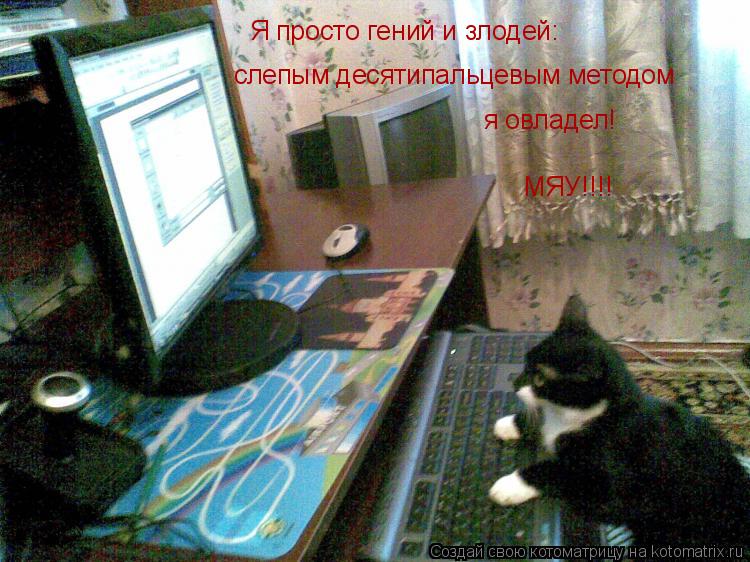 Котоматрица: Я просто гений и злодей: слепым десятипальцевым методом я овладел! МЯУ!!!!