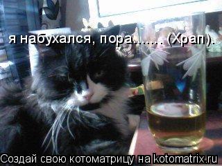 я набухался, пора....... (Храп).... Котоматрица: я набухался, пора....... (Храп).
