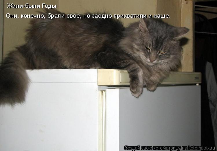 Котоматрица: Жили-были Годы Они, конечно, брали свое, но заодно прихватили и наше.