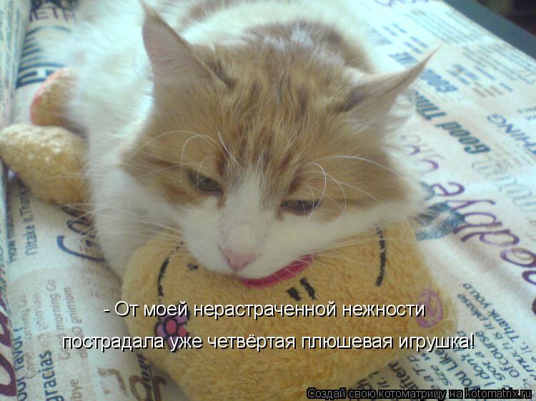- От моей нерастраченной нежности пострадала уже четвёртая плюшевая игрушка!... Котоматрица: - От моей нерастраченной нежности пострадала уже четвёртая плюшевая игрушка!