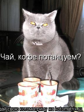 Котоматрица: Чай, кофе потанцуем?