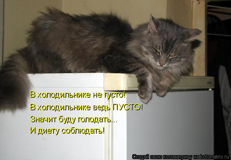 Котоматрица: В холодильнике не густо! В холодильнике ведь ПУСТО! Значит буду голодать... И диету соблюдать!