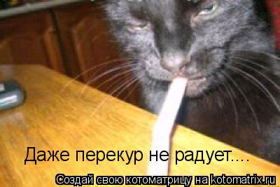 Котоматрица: Даже перекур не радует....