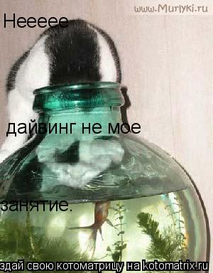 Неееее дайвинг не мое занятие.... Котоматрица: Неееее дайвинг не мое занятие.