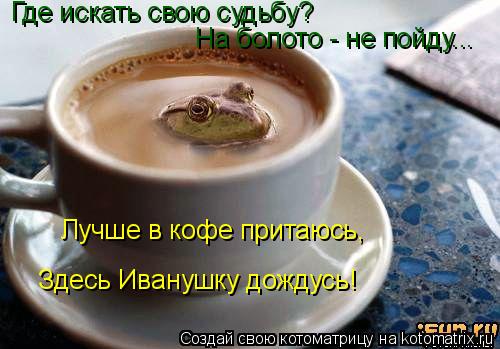 Где искать свою судьбу? На болото - не пойду... Лучше в кофе притаюсь, Здесь Иванушку дождусь!... Котоматрица: Где искать свою судьбу? На болото - не пойду... Лучше в кофе притаюсь, Здесь Иванушку дождусь!
