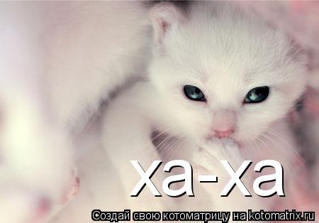 Котоматрица: ха-ха