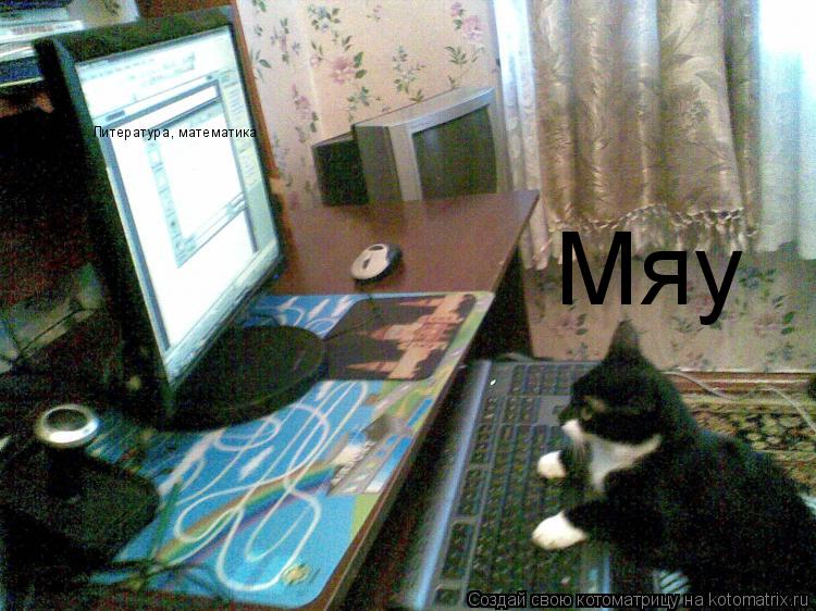 Котоматрица: Литература, математика Мяу
