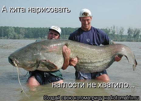 Котоматрица: А кита нарисовать наглости не хватило...
