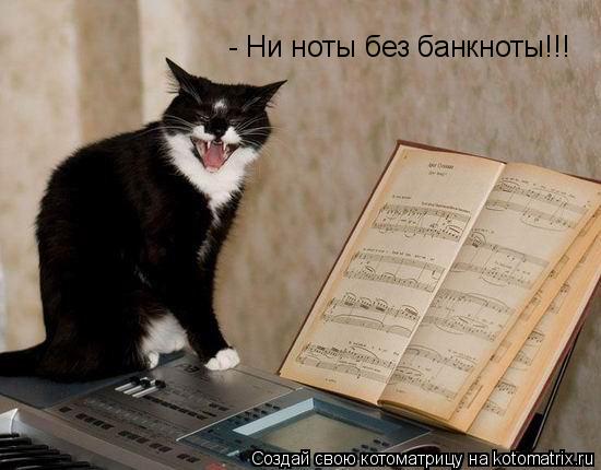 - Ни ноты без банкноты!!!... Котоматрица: - Ни ноты без банкноты!!!