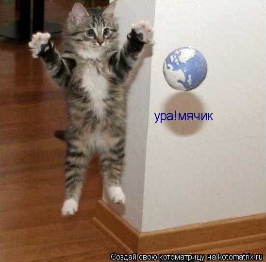Котоматрица: ура!мячик