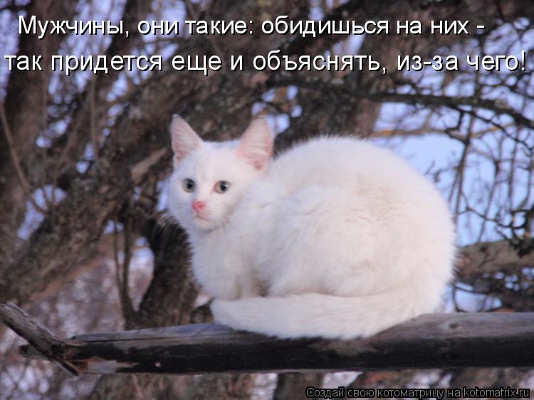 Открытки я обиделась на тебя прикольные 93