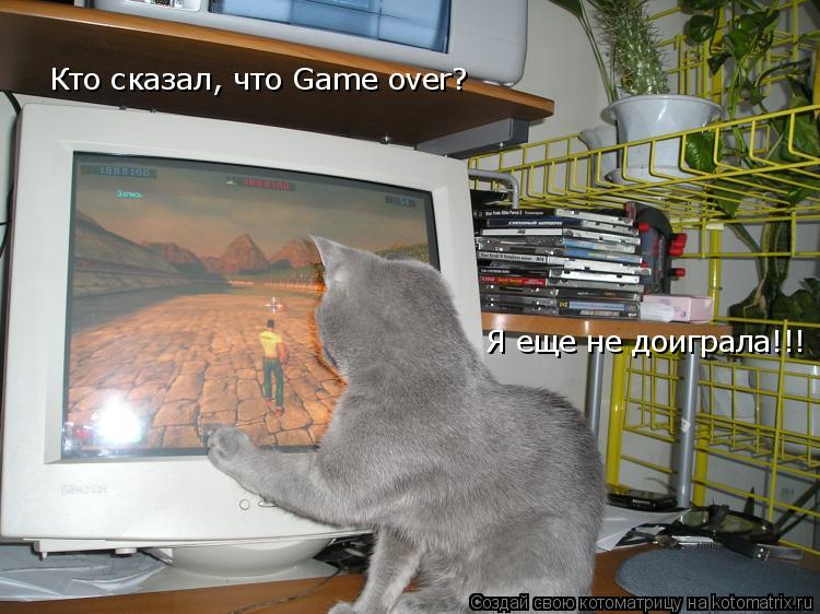 Котоматрица: Кто сказал, что Game over? Я еще не доиграла!!!