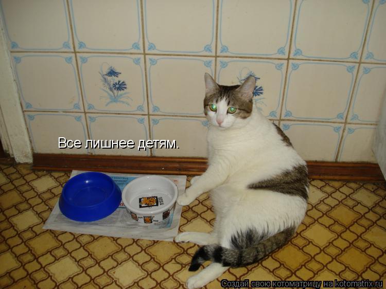 Котоматрица: Все лишнее детям.