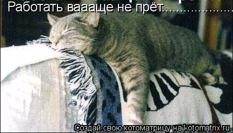 Котоматрица: Работать ваааще не прёт.......................