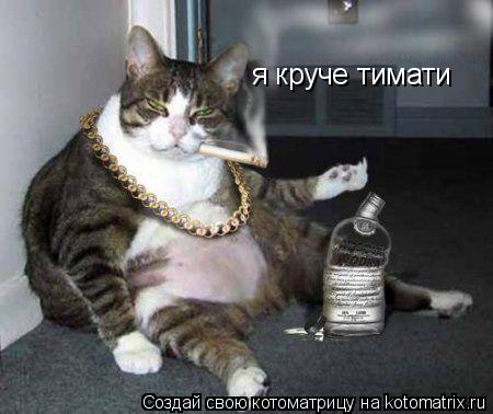 Котоматрица: я круче тимати
