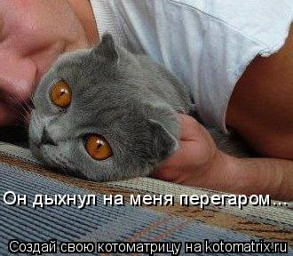 Котоматрица: Он дыхнул на меня перегаром...