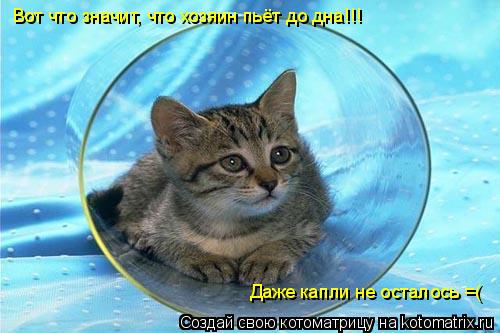 Вот что значит, что хозяин пьёт до дна!!! Даже капли не осталось =(... Котоматрица: Вот что значит, что хозяин пьёт до дна!!! Даже капли не осталось =(