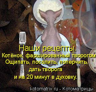 Котоматрица: Наши рецепты. Котёнок, фаршированный творогом. Ощипать, посолить, поперчить, дать творога  и на 20 минут в духовку.