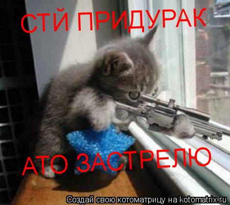 СТЙ ПРИДУРАК АТО ЗАСТРЕЛЮ... Котоматрица: СТЙ ПРИДУРАК АТО ЗАСТРЕЛЮ