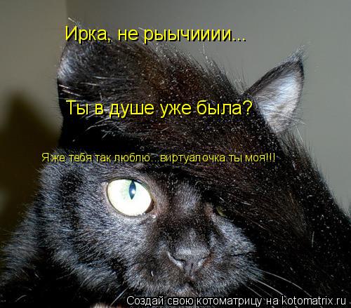 Ирка, не рыычииии... Ты в душе уже была? Я же тебя так люблю...виртуалочка ты моя!!!... Котоматрица: Ирка, не рыычииии... Ты в душе уже была? Я же тебя так люблю...виртуалочка ты моя!!!