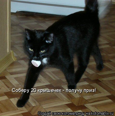Соберу 20 крышечек - получу приз!... Котоматрица: Соберу 20 крышечек - получу приз!