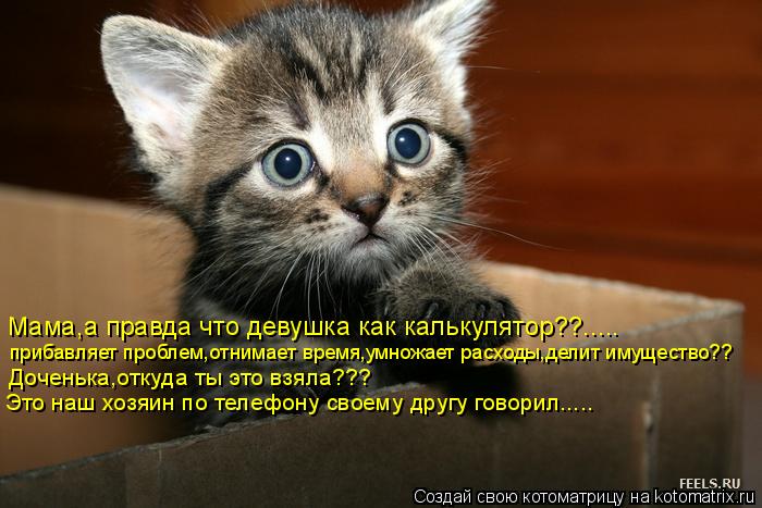 Мама,а правда что девушка как калькулятор??..... прибавляет проблем,отнимает время,умножает расходы,д... Котоматрица: Мама,а правда что девушка как калькулятор??..... прибавляет проблем,отнимает время,умножает расходы,делит имущество?? Доченька,откуда ты это