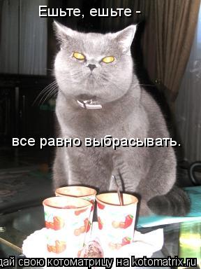 Котоматрица: Ешьте, ешьте - все равно выбрасывать.