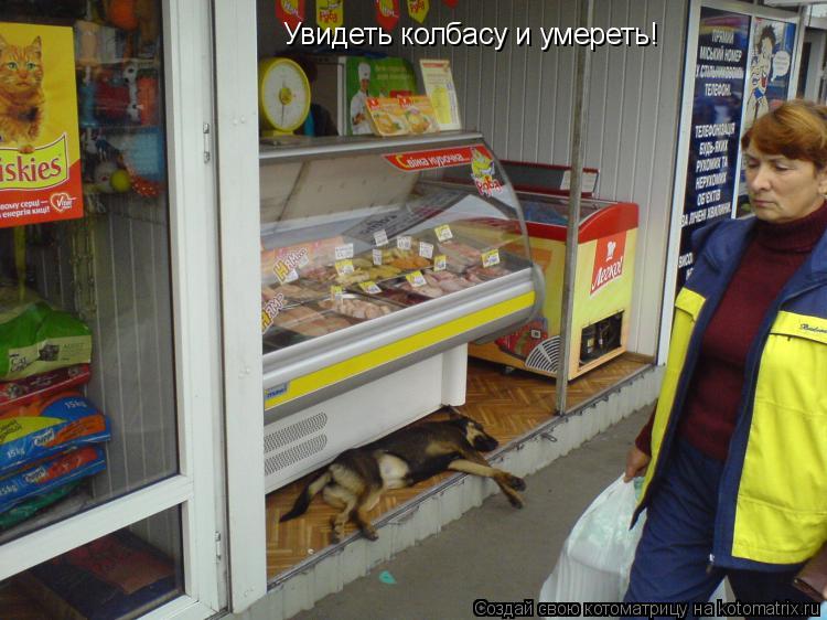 Котоматрица: Увидеть колбасу и умереть!