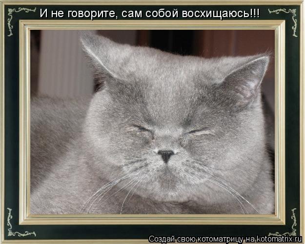 И не говорите, сам собой восхищаюсь!!!... Котоматрица: И не говорите, сам собой восхищаюсь!!!