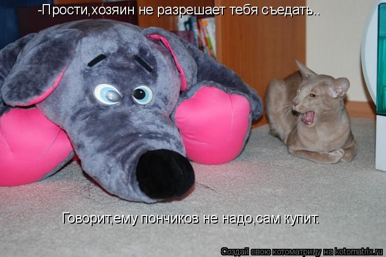 Котоматрица: -Прости,хозяин не разрешает тебя съедать.. Говорит,ему пончиков не надо,сам купит.