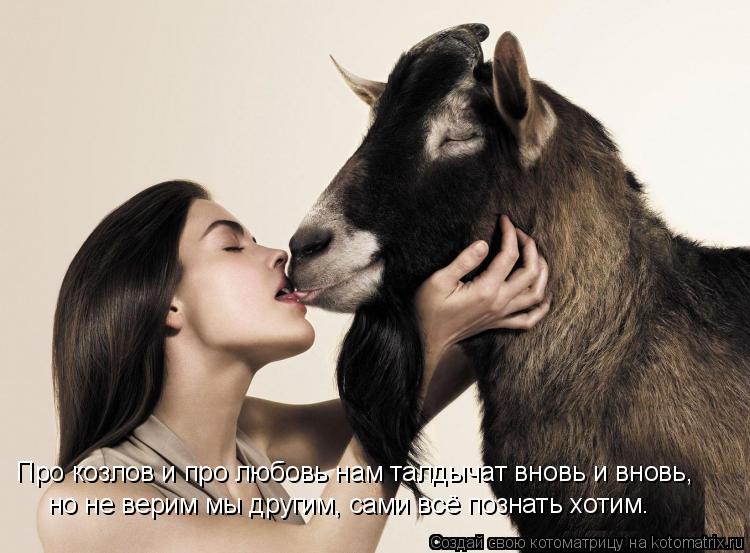 Котоматрица: Про козлов и про любовь нам талдычат вновь и вновь,  но не верим мы другим, сами всё познать хотим.