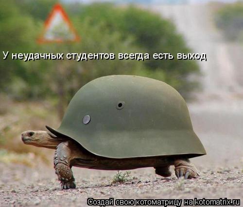 Котоматрица: У неудачных студентов всегда есть выход