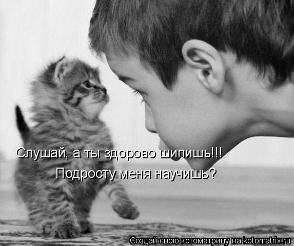 Котоматрица: Слушай, а ты здорово шипишь!!! Подросту меня научишь?