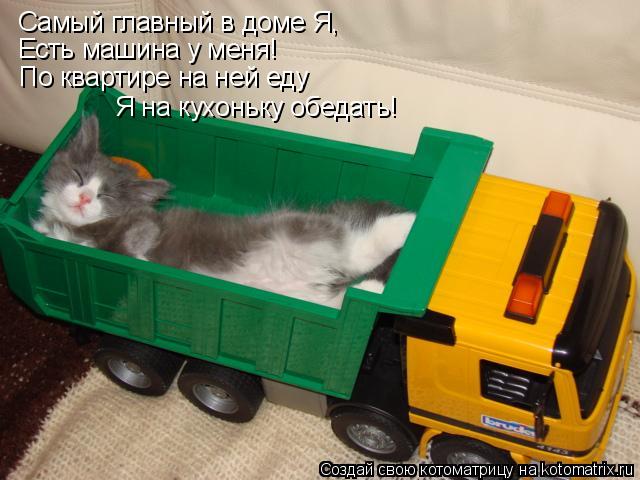Самый главный в доме Я, Есть машина у меня! По квартире на ней еду Я на кухоньку обедать!... Котоматрица: Самый главный в доме Я, Есть машина у меня! По квартире на ней еду Я на кухоньку обедать!