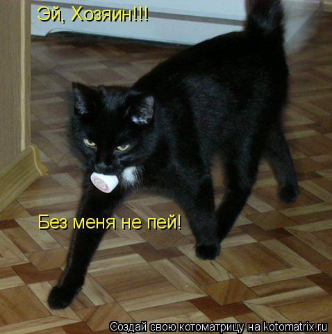 Эй, Хозяин!!! Без меня не пей!... Котоматрица: Эй, Хозяин!!! Без меня не пей!
