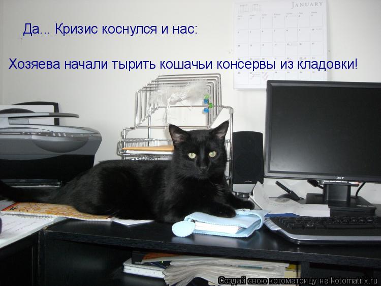 Котоматрица: Да... Кризис коснулся и нас: Хозяева начали тырить кошачьи консервы из кладовки!
