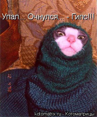 Котоматрица: Упал... Очнулся... - Гипс!!!