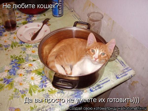 Не любите кошек? Да вы просто не умеете их готовить)))... Котоматрица: Не любите кошек? Да вы просто не умеете их готовить)))
