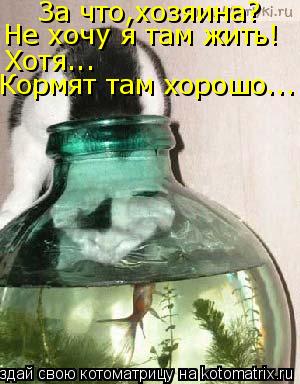 Котоматрица: За что,хозяина? Не хочу я там жить! Хотя... Кормят там хорошо...