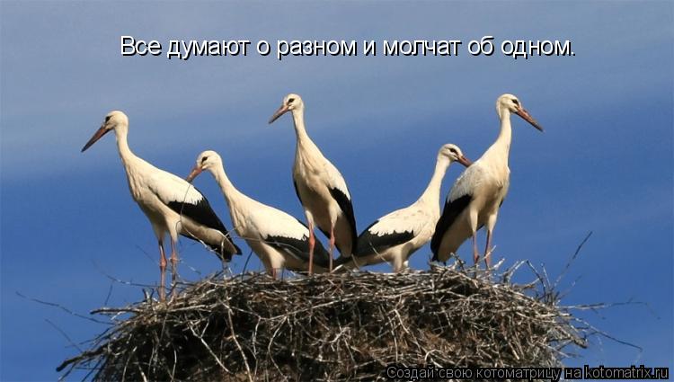Котоматрица: Все думают о разном и молчат об одном.