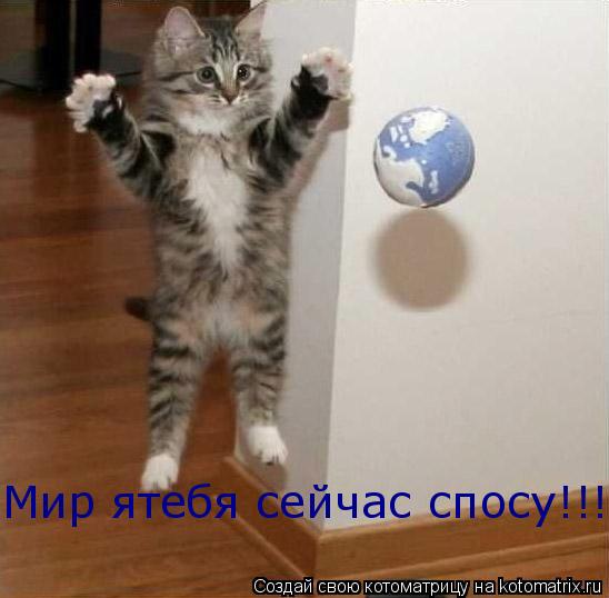 Мир ятебя сейчас спосу!!!... Котоматрица: Мир ятебя сейчас спосу!!!