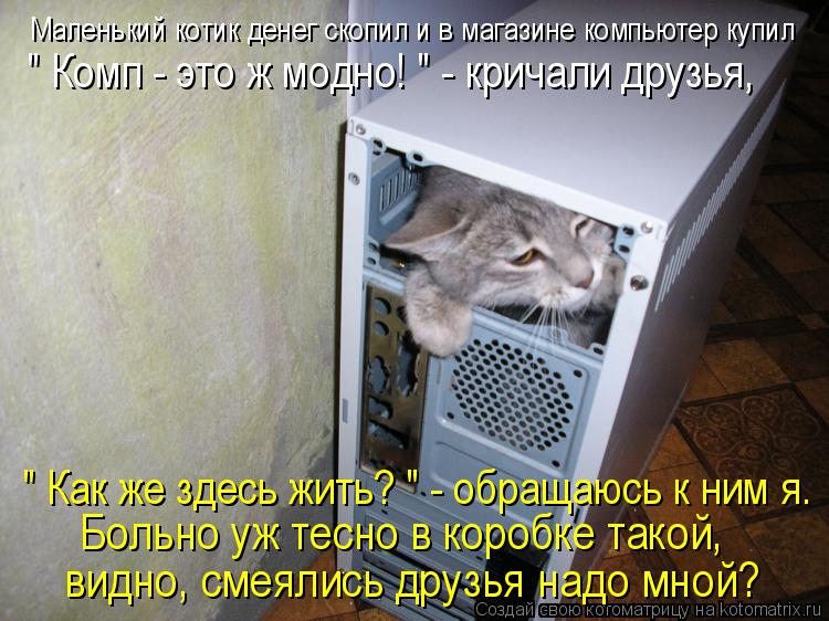 Маленький котик денег скопил и в магазине компьютер купил " Комп - это ж модно! " - кричали друзья, ... Котоматрица: Маленький котик денег скопил и в магазине компьютер купил " Комп - это ж модно! " - кричали друзья, Больно уж тесно в коробке такой, видно, смея