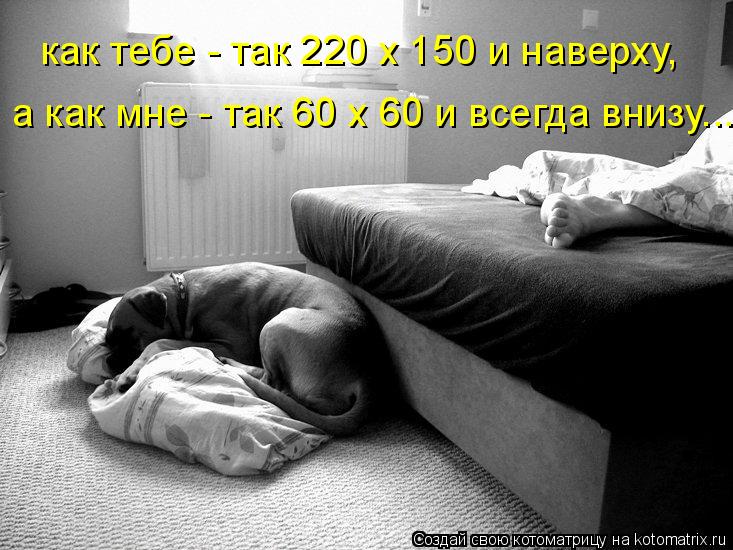 а как мне - так 60 х 60 и всегда внизу... как тебе - так 220 х 150 и наверху,... Котоматрица: а как мне - так 60 х 60 и всегда внизу... как тебе - так 220 х 150 и наверху,