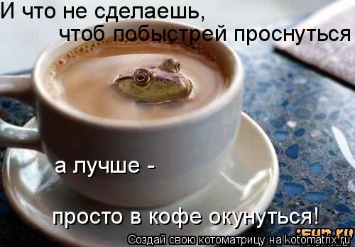 чтоб побыстрей проснуться а лучше - просто в кофе окунуться! И что не сделаешь,... Котоматрица: чтоб побыстрей проснуться а лучше - просто в кофе окунуться! И что не сделаешь,