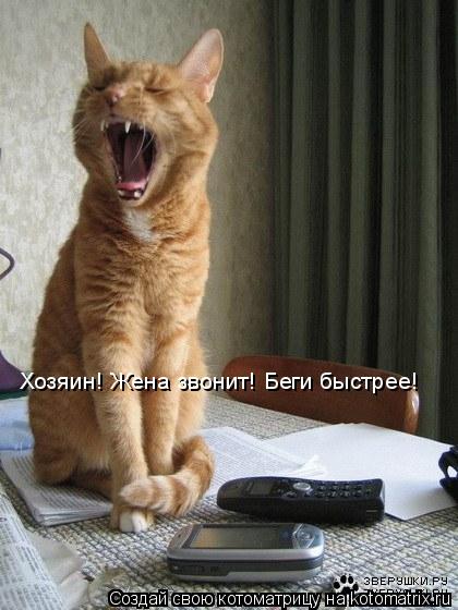Котоматрица: Хозяин! Жена звонит! Беги быстрее!