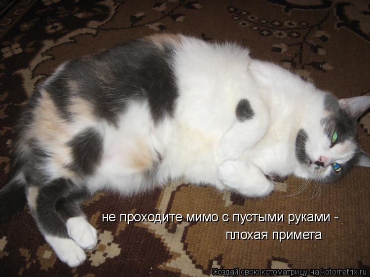 не проходите мимо с пустыми руками - плохая примета... Котоматрица: не проходите мимо с пустыми руками - плохая примета
