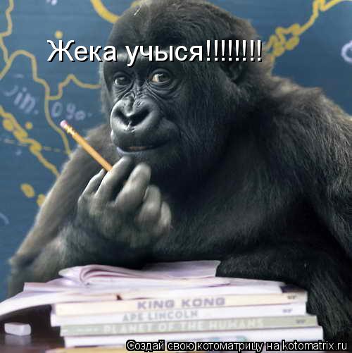 Котоматрица: Жека учыся!!!!!!!!